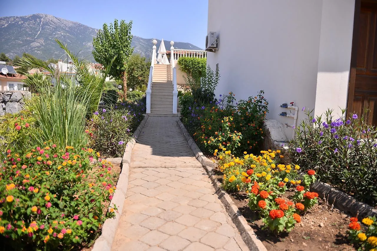 Hotel Pine Grove Upper C3 Oludeniz 0*,  Turecko